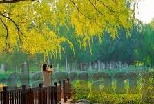 成人直播视频-成人直播视频，数字时代的隐秘角落与伦理考量