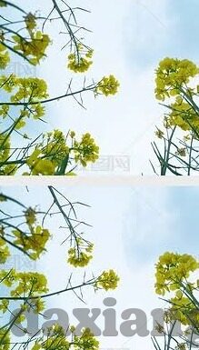 麻豆传媒app下载安装-畅享无界，体验麻豆传媒app带来的高清影视盛宴