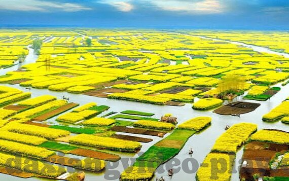 麻豆有限公司传媒-麻豆有限公司，传媒行业的革新力量